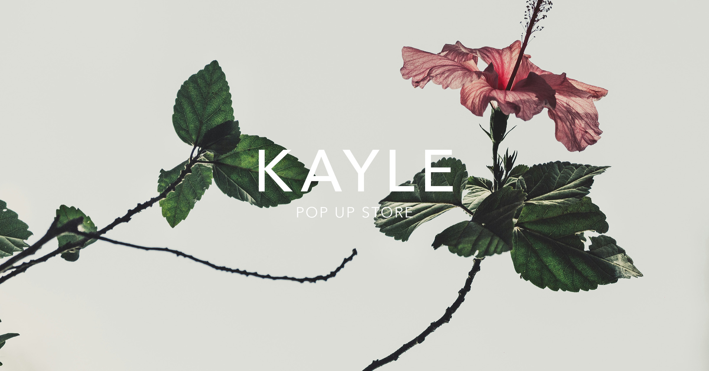 KAYLE POP UP STORE